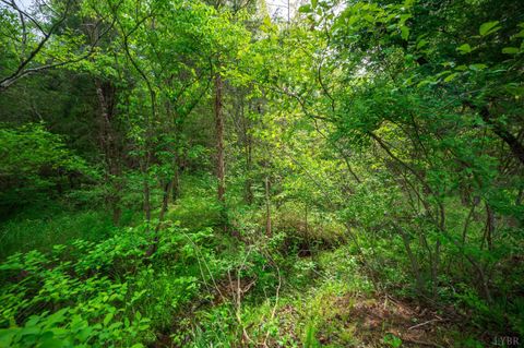 Tiny photo for 0 Tin Top Place, Appomattox, VA 24538 (MLS # 366434)