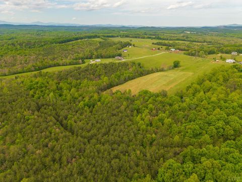 Tiny photo for 0 Tin Top Place, Appomattox, VA 24538 (MLS # 366434)