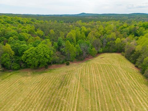 Tiny photo for 0 Tin Top Place, Appomattox, VA 24538 (MLS # 366434)