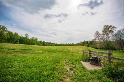 Tiny photo for 0 Tin Top Place, Appomattox, VA 24538 (MLS # 366434)