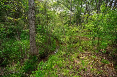 Tiny photo for 0 Tin Top Place, Appomattox, VA 24538 (MLS # 366434)