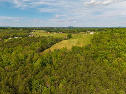 Tiny photo for 0 Tin Top Place, Appomattox, VA 24538 (MLS # 366434)