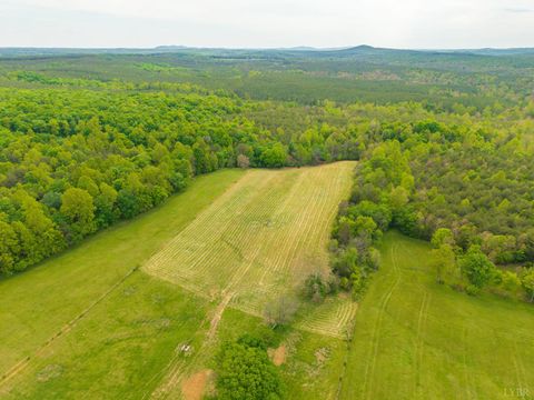 Tiny photo for 0 Tin Top Place, Appomattox, VA 24538 (MLS # 366434)