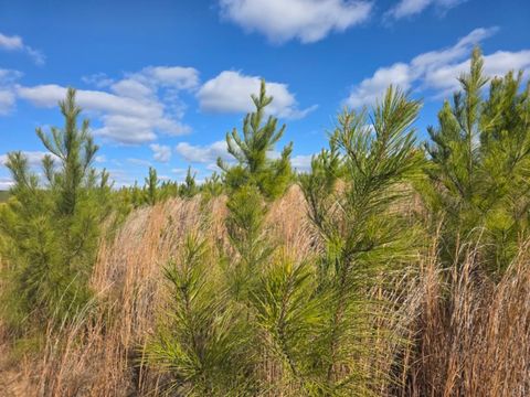 Tiny photo for 0 4608 Norwood Road, Gladstone, VA 24553 (MLS # 363392)