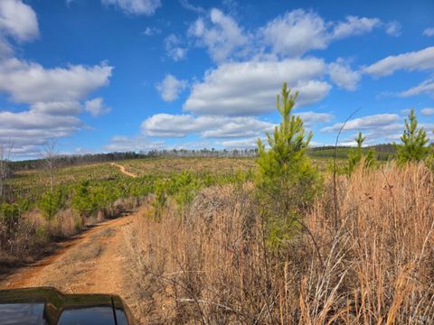 Tiny photo for 0 4608 Norwood Road, Gladstone, VA 24553 (MLS # 363392)