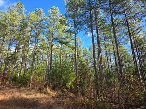 Tiny photo for 0 4608 Norwood Road, Gladstone, VA 24553 (MLS # 363392)