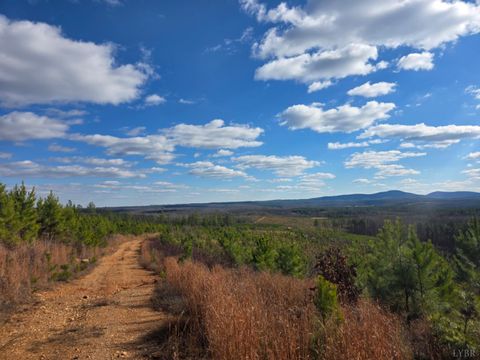 Tiny photo for 0 4608 Norwood Road, Gladstone, VA 24553 (MLS # 363392)