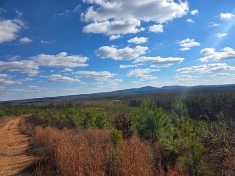 Tiny photo for 0 4608 Norwood Road, Gladstone, VA 24553 (MLS # 363392)