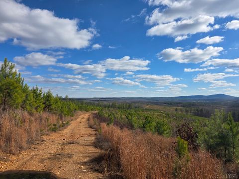 Tiny photo for 0 4608 Norwood Road, Gladstone, VA 24553 (MLS # 363392)