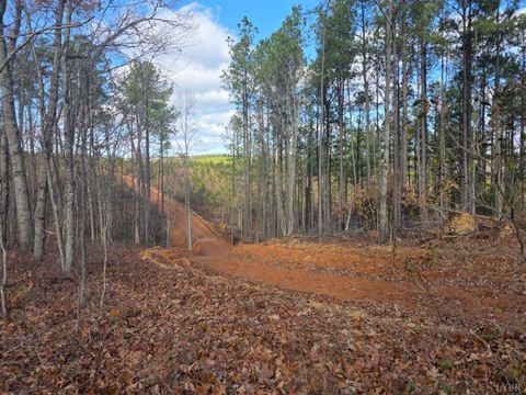 Tiny photo for 0 4608 Norwood Road, Gladstone, VA 24553 (MLS # 363392)