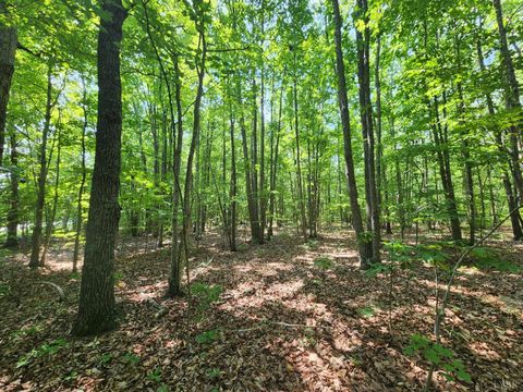 Vacant Land For Sale - Richmond Hwy<br/> Pamplin, VA 23958
