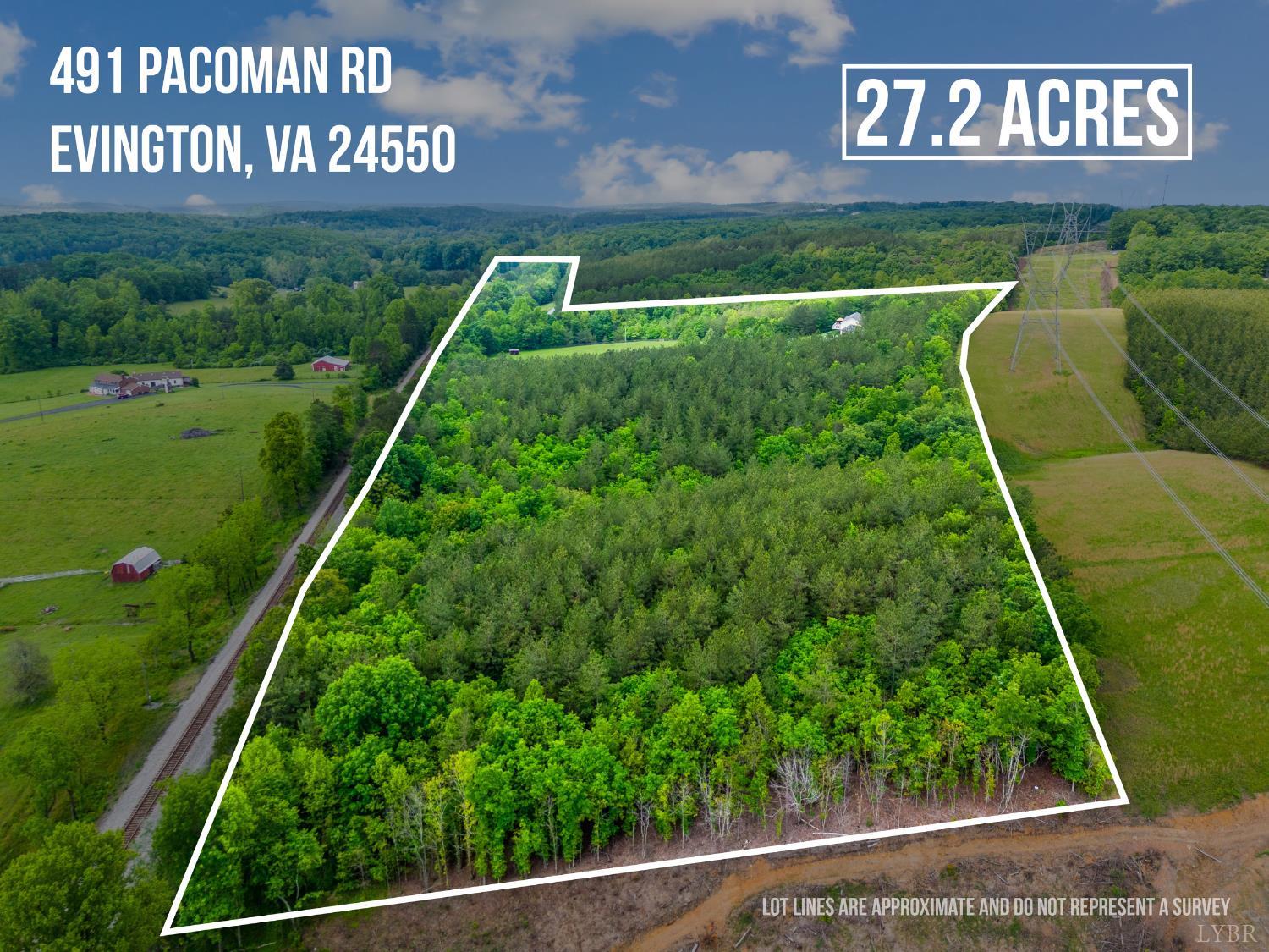491 Pacoman Road, Evington, Virginia image 3