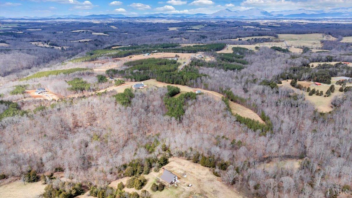 Goode, Virginia 24556, United States, 4 Bedrooms Bedrooms, ,5 BathroomsBathrooms,Residential,Pending,133757