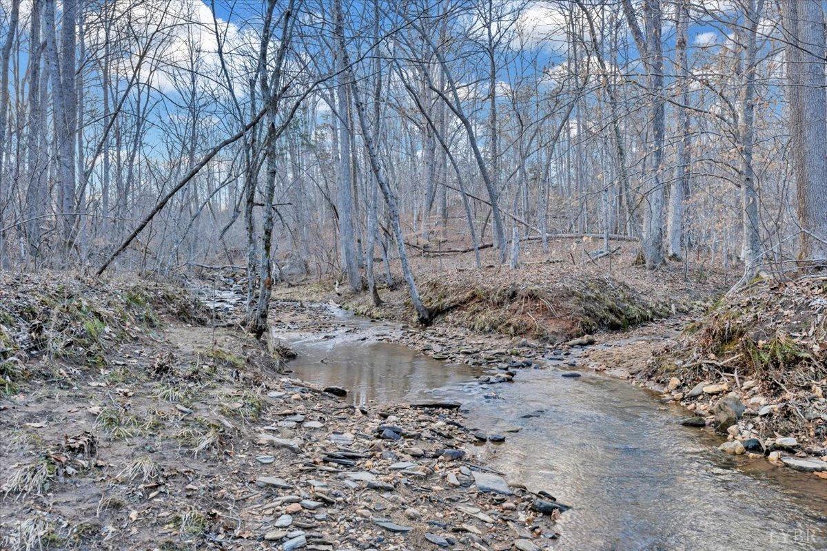 Goode, Virginia 24556, United States, 4 Bedrooms Bedrooms, ,5 BathroomsBathrooms,Residential,Pending,133757