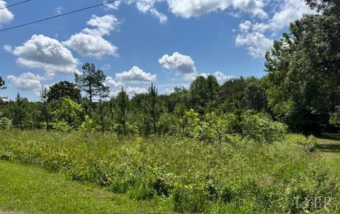 Tiny photo for 0 Mini Ball Lane, Appomattox, VA 24522 (MLS # 359631)