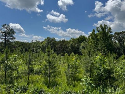 Tiny photo for 0 Mini Ball Lane, Appomattox, VA 24522 (MLS # 359631)