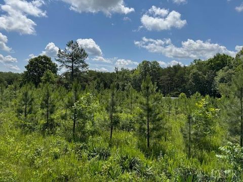 Tiny photo for 0 Mini Ball Lane, Appomattox, VA 24522 (MLS # 359631)