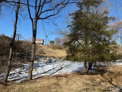 Photo of 2229 Poplar Street, Lynchburg, VA 24504 (MLS # 364536)