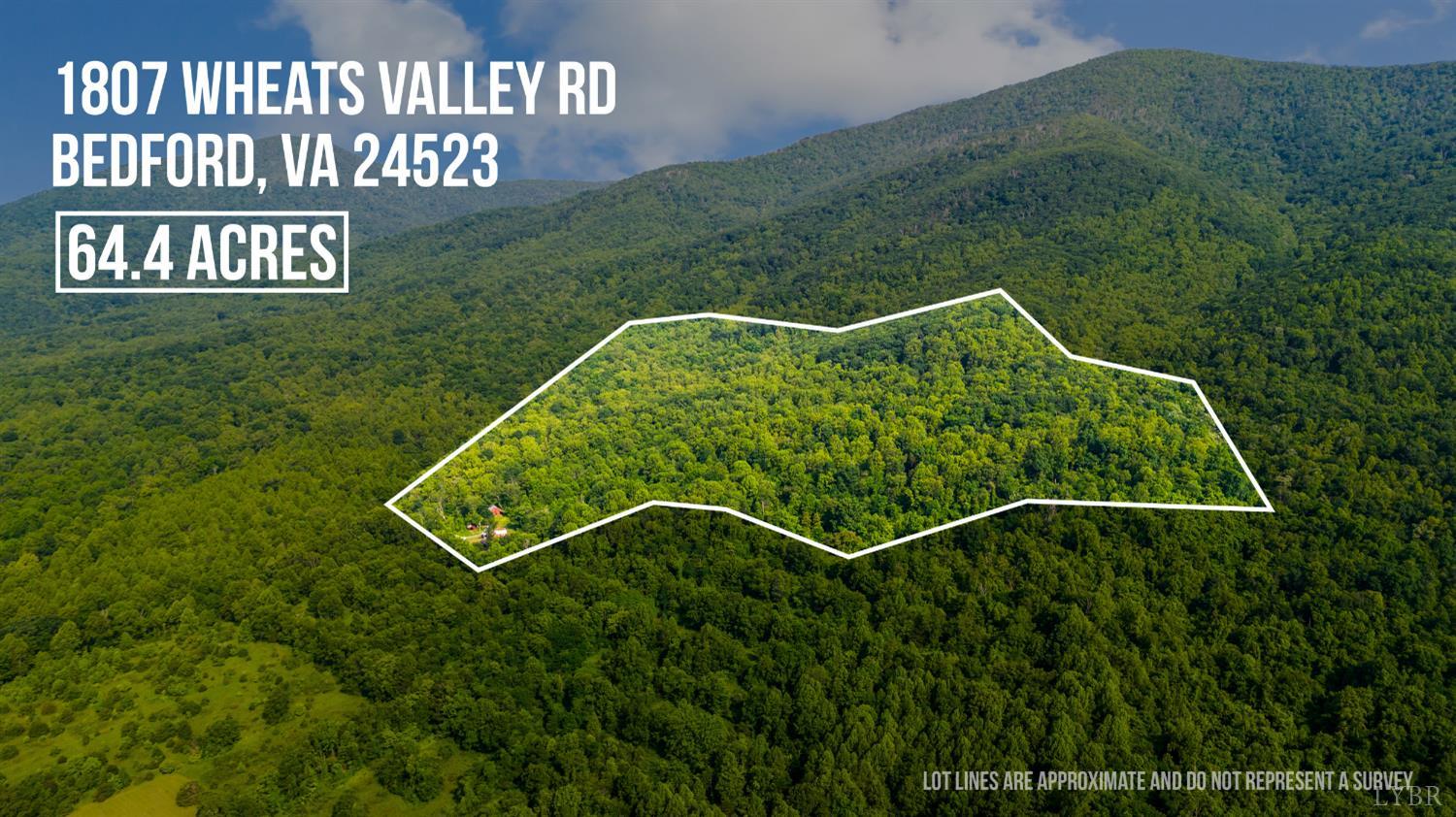 1807 Wheats Valley Road, Bedford, Virginia image 42
