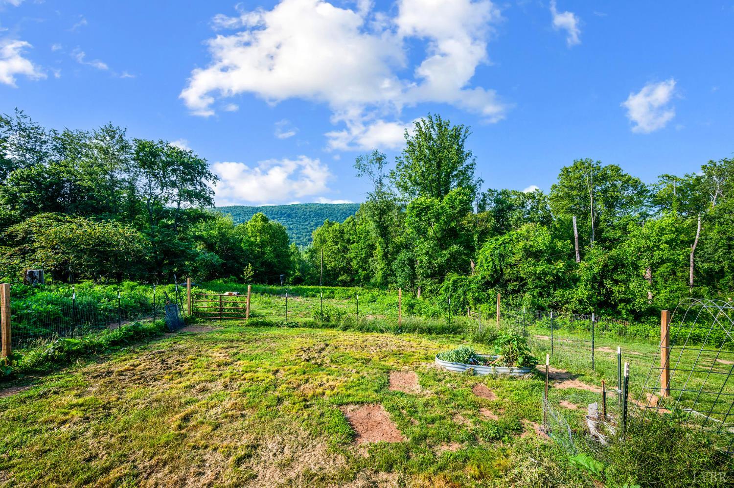 1807 Wheats Valley Road, Bedford, Virginia image 34