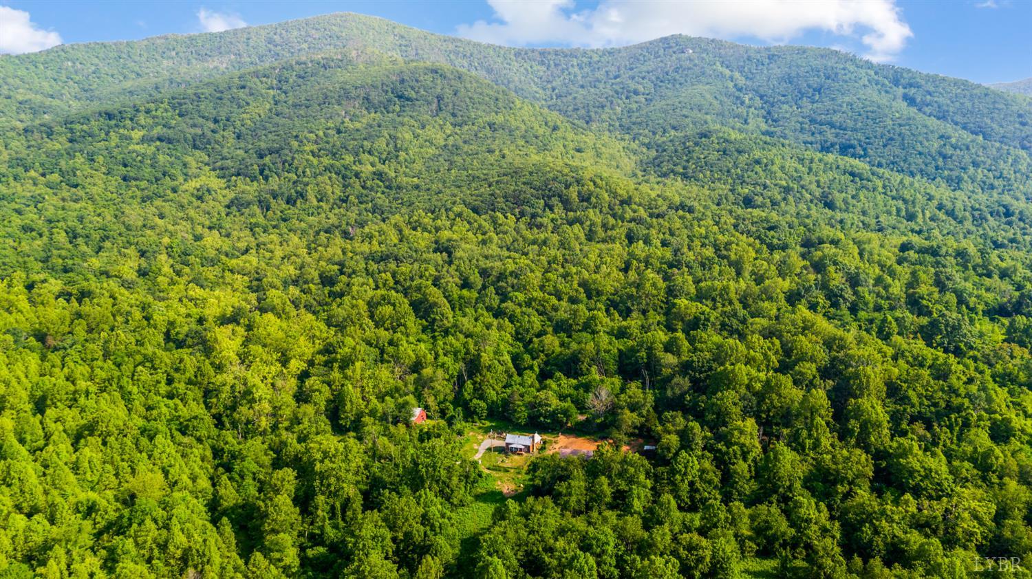 1807 Wheats Valley Road, Bedford, Virginia image 48