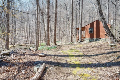 Tiny photo for 1095 Campbells Mtn Rd Rd, Tyro, VA 22976 (MLS # 365356)