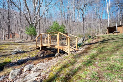 Tiny photo for 1095 Campbells Mtn Rd Rd, Tyro, VA 22976 (MLS # 365356)