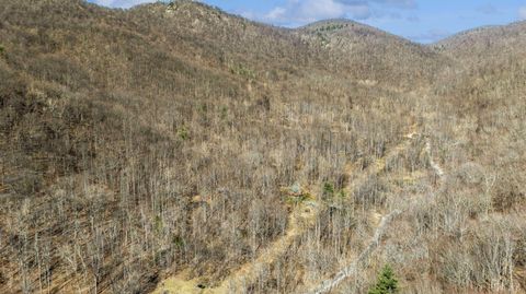 Tiny photo for 1095 Campbells Mtn Rd Rd, Tyro, VA 22976 (MLS # 365356)