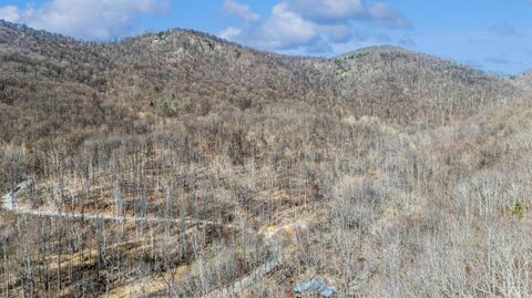 Tiny photo for 1095 Campbells Mtn Rd Rd, Tyro, VA 22976 (MLS # 365356)