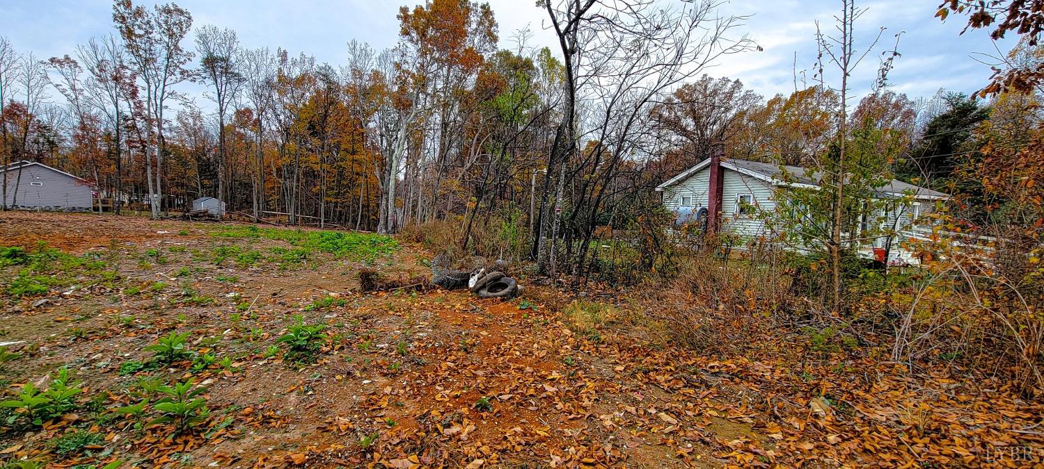 Stonewall Road, Appomattox, Virginia image 9