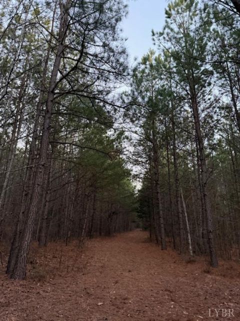 Tiny photo for 0 Piney Mountain Road, Appomattox, VA 24522 (MLS # 364804)