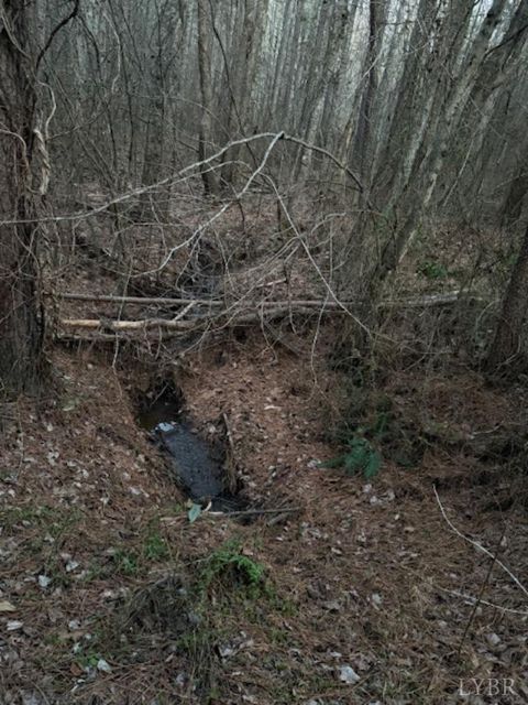 Tiny photo for 0 Piney Mountain Road, Appomattox, VA 24522 (MLS # 364804)