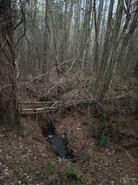 Tiny photo for 0 Piney Mountain Road, Appomattox, VA 24522 (MLS # 364804)