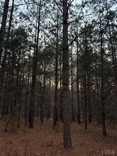 Tiny photo for 0 Piney Mountain Road, Appomattox, VA 24522 (MLS # 364804)