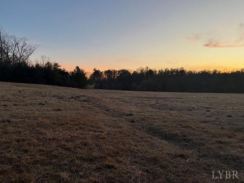 Tiny photo for 0 Piney Mountain Road, Appomattox, VA 24522 (MLS # 364804)