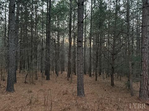 Tiny photo for 0 Piney Mountain Road, Appomattox, VA 24522 (MLS # 364804)