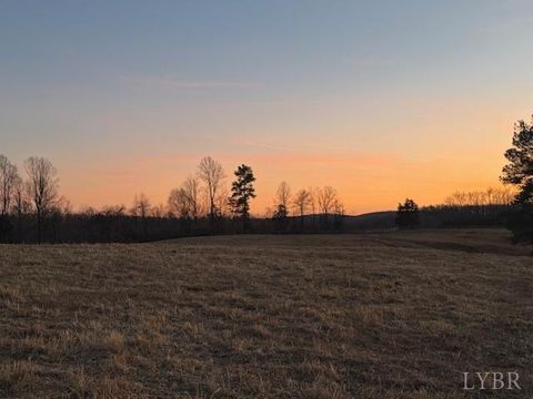 Tiny photo for 0 Piney Mountain Road, Appomattox, VA 24522 (MLS # 364804)