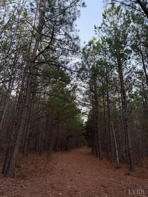 Tiny photo for 0 Piney Mountain Road, Appomattox, VA 24522 (MLS # 364804)