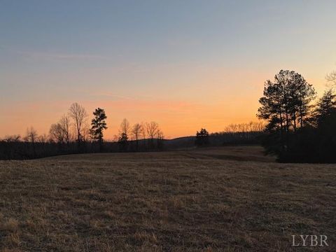 Tiny photo for 0 Piney Mountain Road, Appomattox, VA 24522 (MLS # 364804)