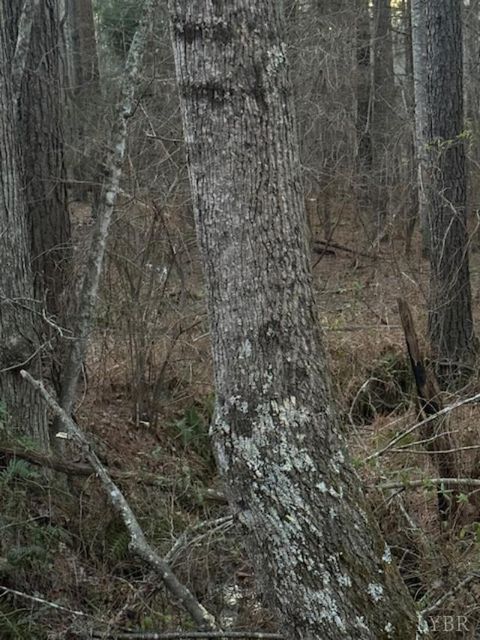 Tiny photo for 0 Piney Mountain Road, Appomattox, VA 24522 (MLS # 364804)