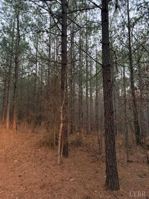 Tiny photo for 0 Piney Mountain Road, Appomattox, VA 24522 (MLS # 364804)