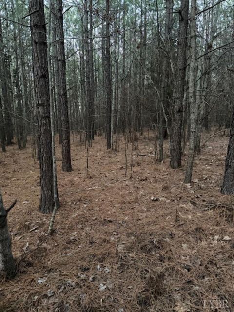 Tiny photo for 0 Piney Mountain Road, Appomattox, VA 24522 (MLS # 364804)
