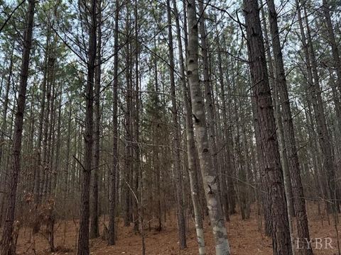 Tiny photo for 0 Piney Mountain Road, Appomattox, VA 24522 (MLS # 364804)