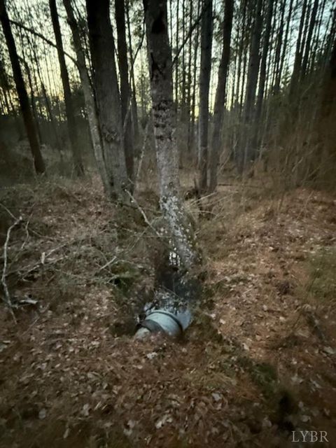 Tiny photo for 0 Piney Mountain Road, Appomattox, VA 24522 (MLS # 364804)