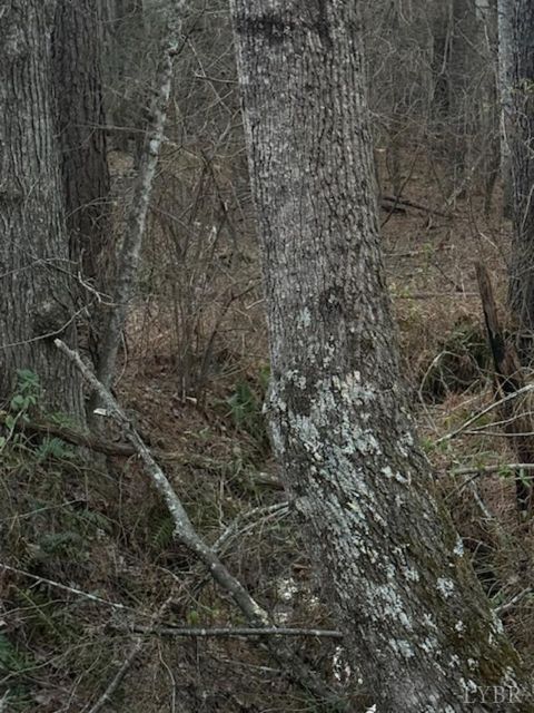 Tiny photo for 0 Piney Mountain Road, Appomattox, VA 24522 (MLS # 364804)