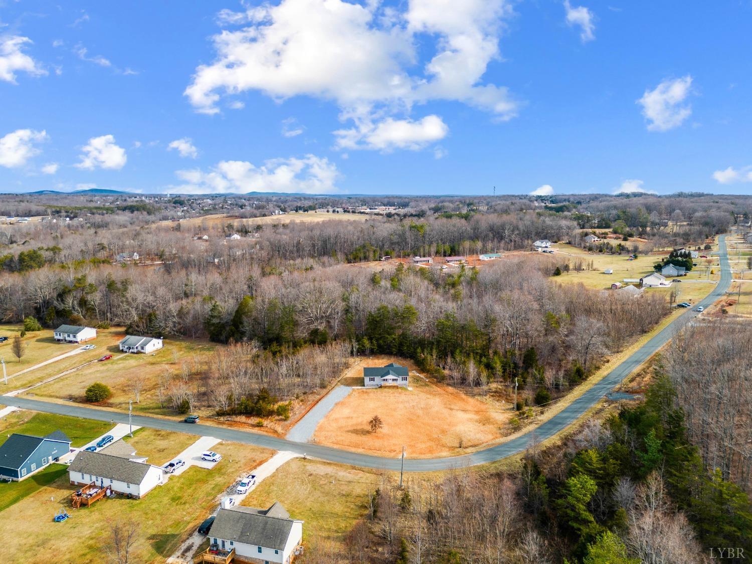 596 Soybean Drive, Appomattox, Virginia image 29