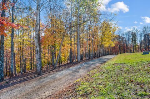 Tiny photo for 170 Fairystone Church Loop, Stuart, VA 24171 (MLS # 363875)