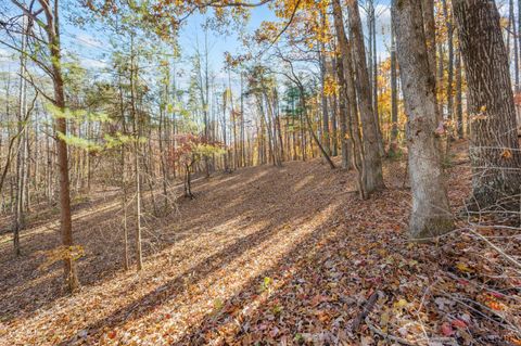 Tiny photo for 170 Fairystone Church Loop, Stuart, VA 24171 (MLS # 363875)