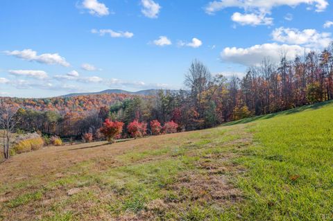 Tiny photo for 170 Fairystone Church Loop, Stuart, VA 24171 (MLS # 363875)