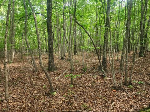 Tiny photo for 0 Red House Road, Appomattox, VA 24522 (MLS # 361633)